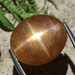 9,17 ctw natürlicher gold-braun Sternsonnenstein, Oval Schliff, Lichtundurchlässig