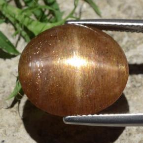 9,17 ctw natürlicher gold-braun Sternsonnenstein, Oval Schliff, Lichtundurchlässig