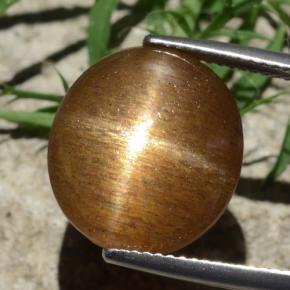 9,17 ctw natürlicher gold-braun Sternsonnenstein, Oval Schliff, Lichtundurchlässig
