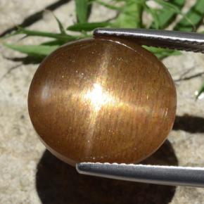 9,17 ctw natürlicher gold-braun Sternsonnenstein, Oval Schliff, Lichtundurchlässig