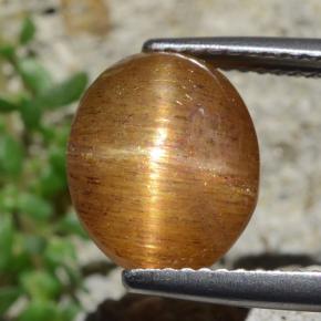 9,17 ctw natürlicher gold-braun Sternsonnenstein, Oval Schliff, Lichtundurchlässig