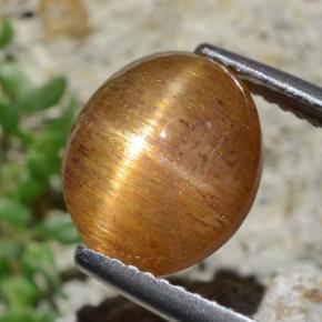 9,17 ctw natürlicher gold-braun Sternsonnenstein, Oval Schliff, Lichtundurchlässig
