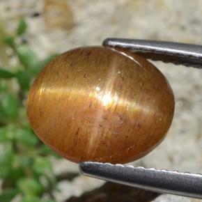 9,17 ctw natürlicher gold-braun Sternsonnenstein, Oval Schliff, Lichtundurchlässig