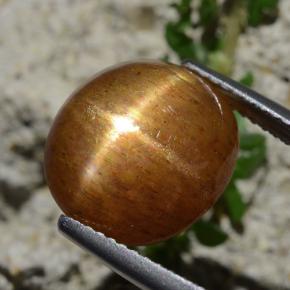 9,17 ctw natürlicher gold-braun Sternsonnenstein, Oval Schliff, Lichtundurchlässig