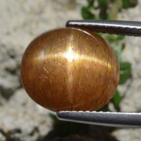 9,17 ctw natürlicher gold-braun Sternsonnenstein, Oval Schliff, Lichtundurchlässig