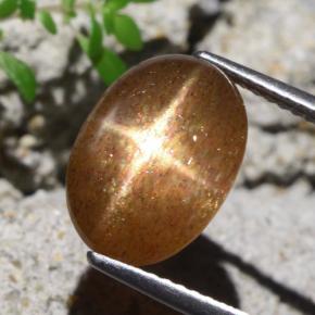 4,80 ctw natürlicher brauner Stern-Sonnenstein, Oval Schliff, Lichtundurchlässig