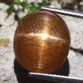 9,36 ctw natürlicher brauner Stern-Sonnenstein, Oval Schliff, Lichtundurchlässig