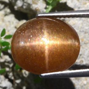 9,17 ctw natürlicher gold-braun Sternsonnenstein, Oval Schliff, Lichtundurchlässig