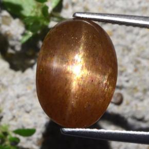 6,29 ctw natürlicher brauner Stern-Sonnenstein, Oval Schliff, Lichtundurchlässig