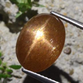 6,29 ctw natürlicher brauner Stern-Sonnenstein, Oval Schliff, Lichtundurchlässig
