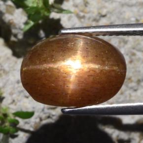 6,29 ctw natürlicher brauner Stern-Sonnenstein, Oval Schliff, Lichtundurchlässig