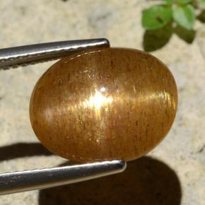 9,17 ctw natürlicher gold-braun Sternsonnenstein, Oval Schliff, Lichtundurchlässig