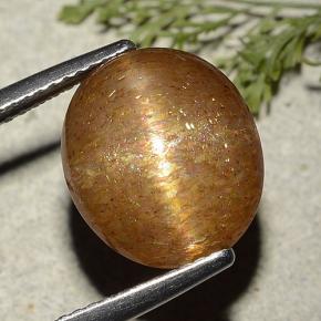 9,17 ctw natürlicher gold-braun Sternsonnenstein, Oval Schliff, Lichtdurchlässig