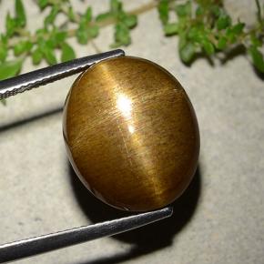 9,17 ctw natürlicher gold-braun Sternsonnenstein, Oval Schliff, Lichtundurchlässig