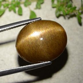 9,17 ctw natürlicher gold-braun Sternsonnenstein, Oval Schliff, Lichtundurchlässig