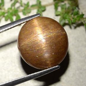 9,17 ctw natürlicher gold-braun Sternsonnenstein, Rund Schliff, Lichtundurchlässig