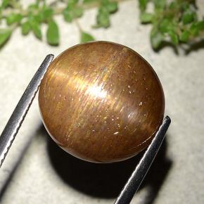 9,17 ctw natürlicher gold-braun Sternsonnenstein, Rund Schliff, Lichtundurchlässig