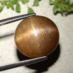 9,17 ctw natürlicher gold-braun Sternsonnenstein, Rund Schliff, Lichtundurchlässig