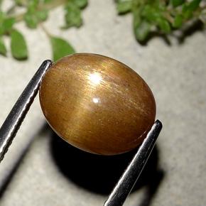 9,17 ctw natürlicher gold-braun Sternsonnenstein, Oval Schliff, Lichtundurchlässig