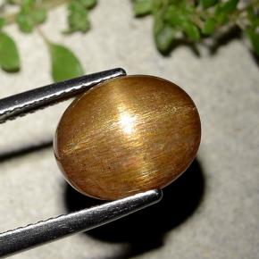 9,17 ctw natürlicher gold-braun Sternsonnenstein, Oval Schliff, Lichtundurchlässig