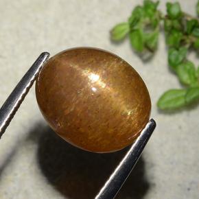 9,17 ctw natürlicher gold-braun Sternsonnenstein, Oval Schliff, Lichtundurchlässig