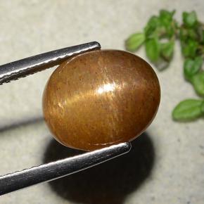 9,17 ctw natürlicher gold-braun Sternsonnenstein, Oval Schliff, Lichtundurchlässig