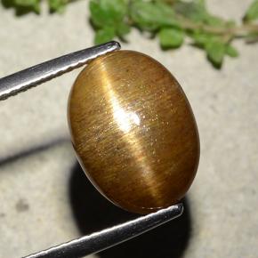 9,17 ctw natürlicher gold-braun Sternsonnenstein, Oval Schliff, Lichtundurchlässig