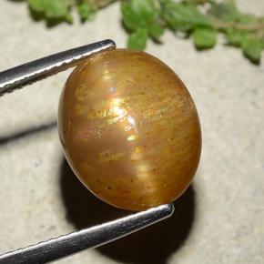 8,25 ctw natürlicher goldener Stern-Sonnenstein, Oval Schliff, Lichtundurchlässig