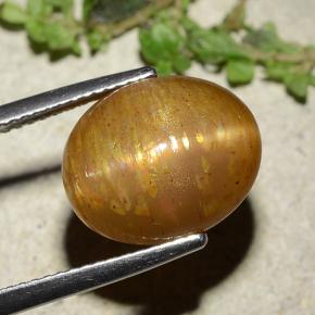 8,25 ctw natürlicher goldener Stern-Sonnenstein, Oval Schliff, Lichtundurchlässig