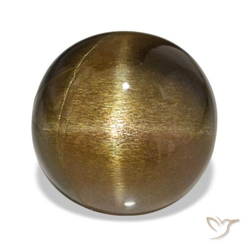 9,17 ctw natürlicher gold-braun Sternsonnenstein, Oval Schliff, Lichtundurchlässig