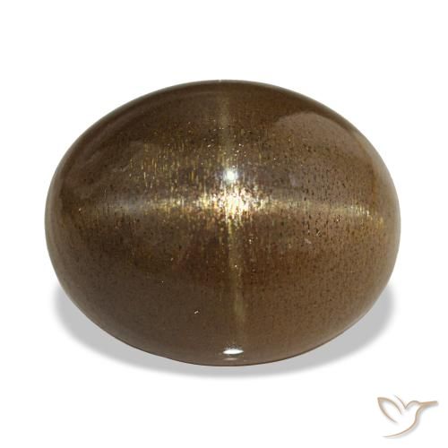 13.92ct Kaffee Braun Sternsonnenstein, Oval, Lichtundurchlässig