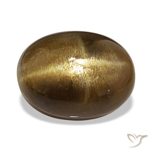 13.39ct Mittel braun Sternsonnenstein Edelsteine, Oval, Lichtundurchlässig