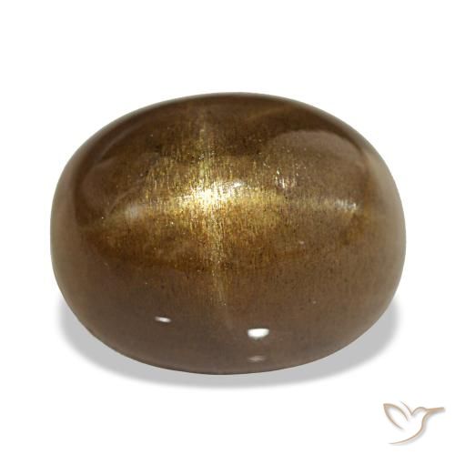 13.45ct Mittel braun Sternsonnenstein Edelsteine, Oval, Lichtundurchlässig