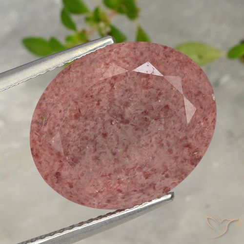 13.42ct Natürlicher rose-rosa Erdbeerquarz, Oval, Lichtdurchlässig