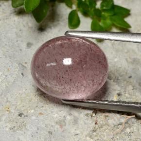 9,17 ctw natürlicher rose-rosa Erdbeerquarz, Oval, Lichtdurchlässig