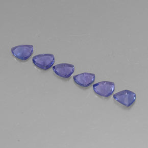  ct natürliche blauer Tansanit-Edelsteine, Trillion, VVS-VS