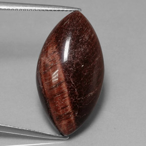 21,56 ctw natürlicher mehrfarbiger Tiger's Eye Matrix, Marquise, Lichtundurchlässig