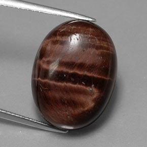 21,49 ctw natürlicher mehrfarbiger Tiger's Eye Matrix, Oval Schliff, Lichtundurchlässig
