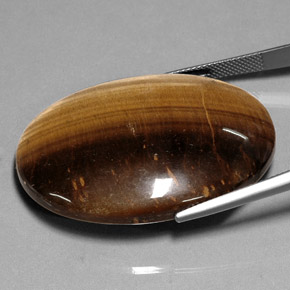 75,05 ctw natürlicher brauner Tiger's Eye, Oval Schliff, Lichtundurchlässig