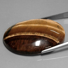 9,17 ctw natürlicher gold-braun Tigerauge, Oval Schliff, Lichtundurchlässig