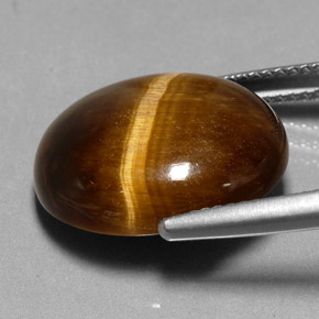 11,35 ctw natürlicher brauner Tiger's Eye, Oval Schliff, Lichtundurchlässig