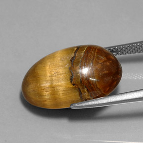 12,90 ctw natürlicher brauner Tiger's Eye, Oval Schliff, Lichtundurchlässig