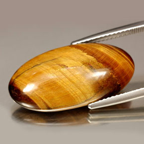 9,17 ctw natürlicher gold-braun Tigerauge, Oval Schliff, Lichtundurchlässig