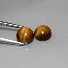  ct natürliche gold-braun Tigerauge-Edelsteine, Rund Schliff, Lichtundurchlässig