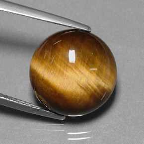 11,12 ctw natürlicher brauner Tiger's Eye, Rundschliff, Lichtundurchlässig