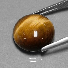11,12 ctw natürlicher brauner Tiger's Eye, Rundschliff, Lichtundurchlässig