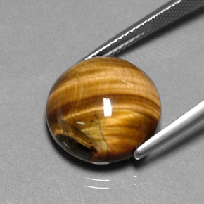 9,17 ctw natürlicher gold-braun Tigerauge, Rund Schliff, Lichtundurchlässig