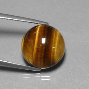 11,77 ctw natürlicher brauner Tiger's Eye, Rundschliff, Lichtundurchlässig