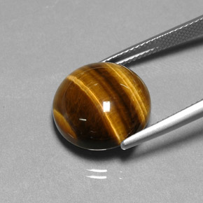 11,77 ctw natürlicher brauner Tiger's Eye, Rundschliff, Lichtundurchlässig