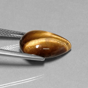 5,36 ctw natürlicher brauner Tiger's Eye, Birnenform, Lichtundurchlässig